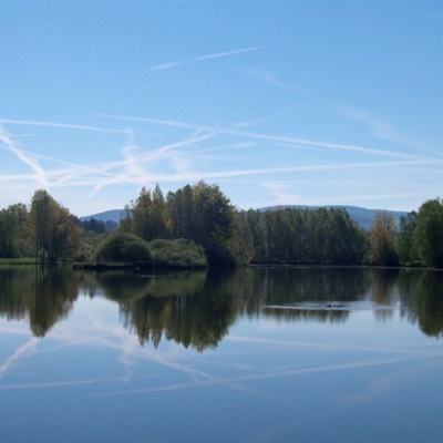 新澳门六开彩资料大全