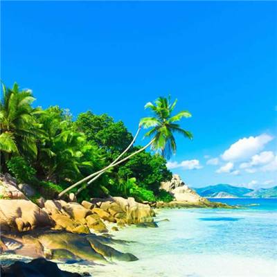 万博全站APP最新版