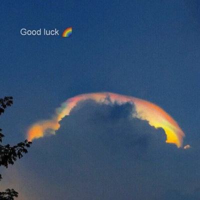 jinnian金年会体育在线入口