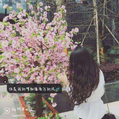 百家家乐APP下载安装