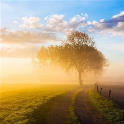 南宫28ng娱乐手机app下载